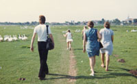 Hutweide